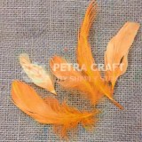 ft03-hen-orange-petracraft