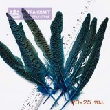 Pheasants-BKblue-petracraft