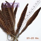Pheasants-BKbrown-petracraft