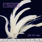 Pheasants-white-petracraft
