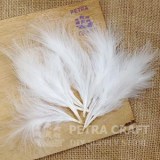 ft02--ขนนกปุยนุ่ม-white1-petracraft