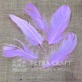 ft03-hen-lavender-petracraft