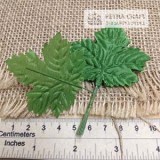 grapeleaf-L-petracraft