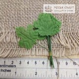 grapeleaf-M-petracraft