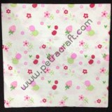 napkin_graphic_0_542b850344923