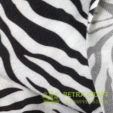 zebra2-petracraft